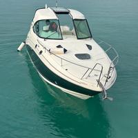 Barca sea ray 305