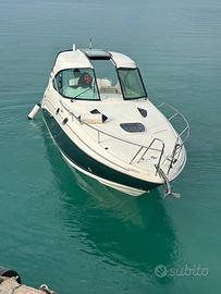 Barca sea ray 305