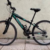 Bicicletta MTB Bottecchia da 24"