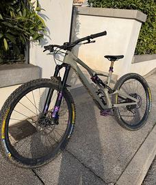 Specialized stumpjumper