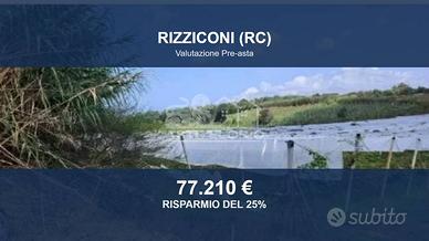 Immobile in asta di 24480 m² a Rizziconi