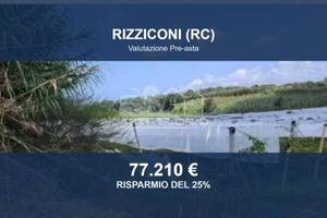 Immobile in asta di 24480 m² a Rizziconi