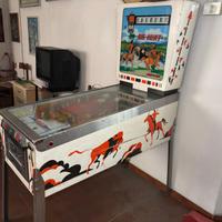 Flipper Vintage "BIG HUNT" - AMI Torino (Anni 70)