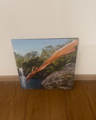 VINILE TEDUA DELUXE