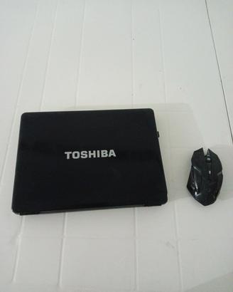 portatile toshiba