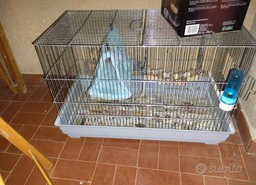 gabbia per uccelli 