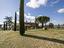 Immagine 14