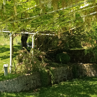 Casa per feste e cerimonie Isola Verde Sabina