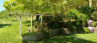 Casa per feste e cerimonie Isola Verde Sabina