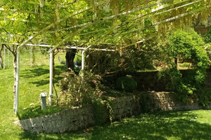 Casa per feste e cerimonie Isola Verde Sabina