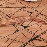Coccodrillo/Alligatore in legno intagliato a mano
