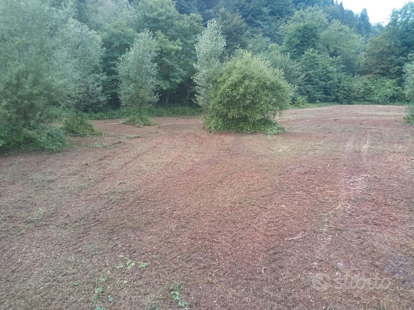 Terreno agricolo Raveo Carnia - Vista 3