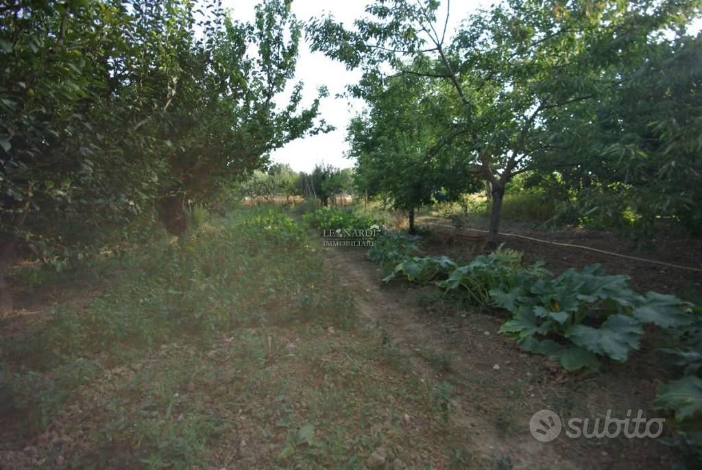 Rustico / Casale di 240 m² con 3 locali e box auto - Vista 2