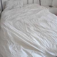 2 piumini matrimoniali in vera piuma d'oca.