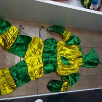 vestito di carnevale bruco