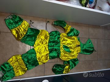 vestito di carnevale bruco
