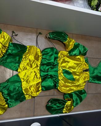 vestito di carnevale bruco