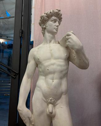 David di michelangelo, Statua in gesso
