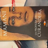 Hernan Huarache Mamani-La profezia della Curandera