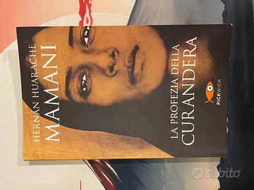 Hernan Huarache Mamani-La profezia della Curandera