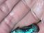 Immagine 3