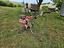 Immagine 5
