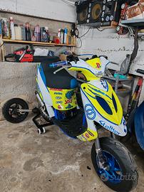  malossi piaggio gilera stalker 70cc