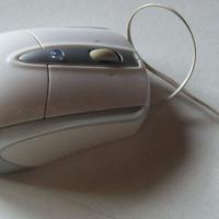Mouse TRUST da computer portatile