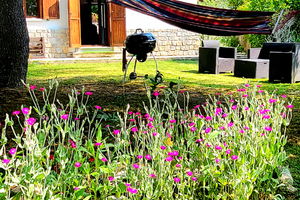 Il rifugio del nocciolo in Sila