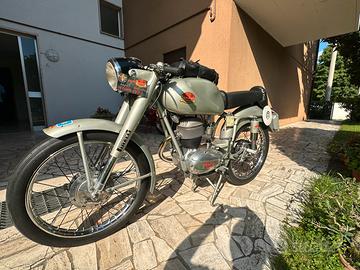 F.B. Mondial 125 Champion