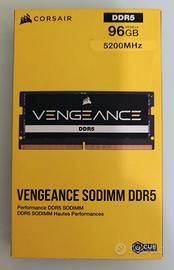 RAM sodium DDR 5  96GB (2x48GB)