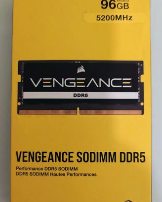 RAM sodium DDR 5  96GB (2x48GB)