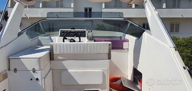 Fiart mare Aster 31