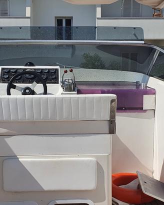 Fiart mare Aster 31