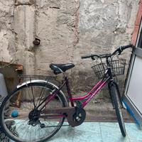 Bici donna 26