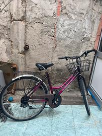 Bici donna 26