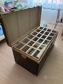 Baule vintage
