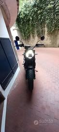 ducati scrambler 1100 sport