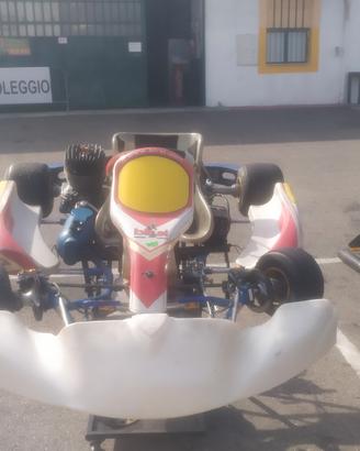 Telaio kart Birel easykart 125 