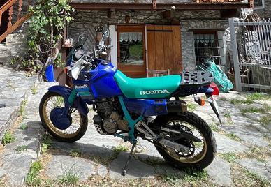 nx Dominetor