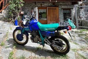 nx Dominetor