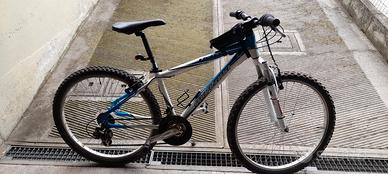bicicletta mtb