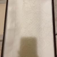 Asciugamani di Lino
