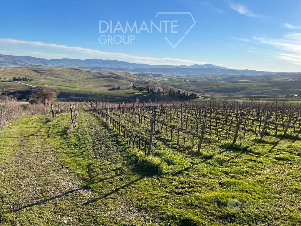 Terreno agricolo di 4 ettari con vigneto Bio Orcia - Vista 4