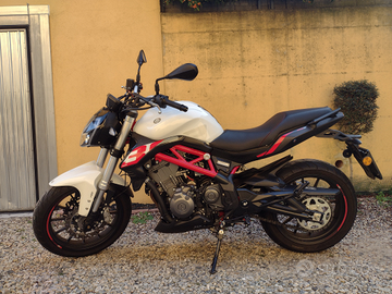 Benelli BN 302 - 2020