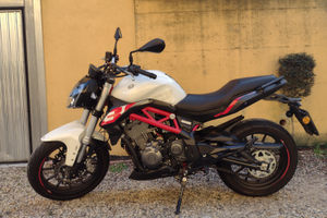 Benelli BN 302 - 2020