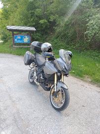 tiger 1050 se abs