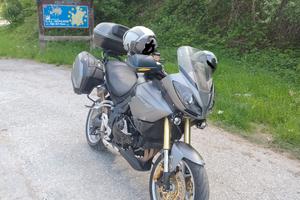 tiger 1050 se abs