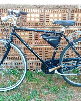 Biciclette da passeggio  e montabike