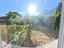 Immagine 27